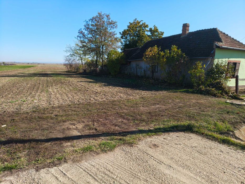 Teren intravilan de vânzare în Tiream, intrarea în sat dinspre Carei cu acces direct la drumul principal - Vedere 3