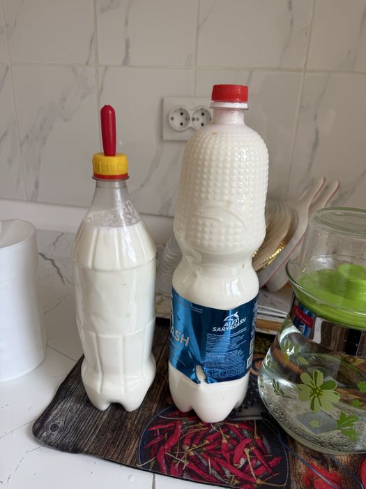 Продам дойных коз оптом 7 штук