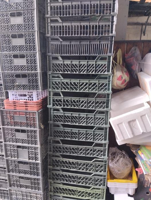 Продам ящики пластиковые