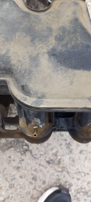 Коллектор (паук)на приору