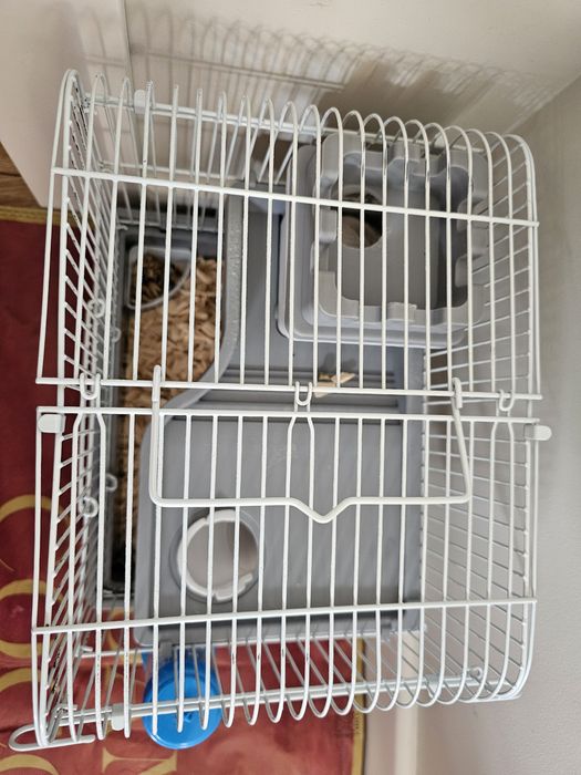 Продам хомяка с клеткой