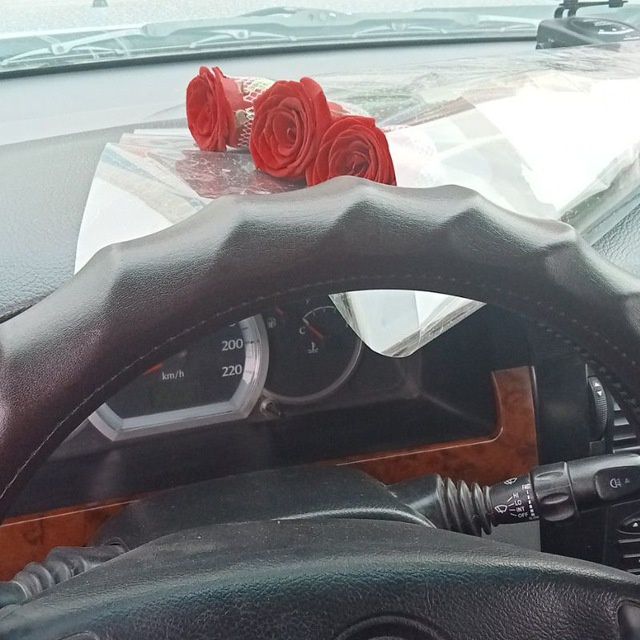 LASETTI 2013 Metalka