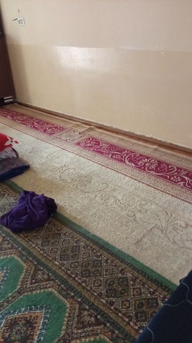 Sheriklikka turadigan qizlar yoki oila kerak ila kerak