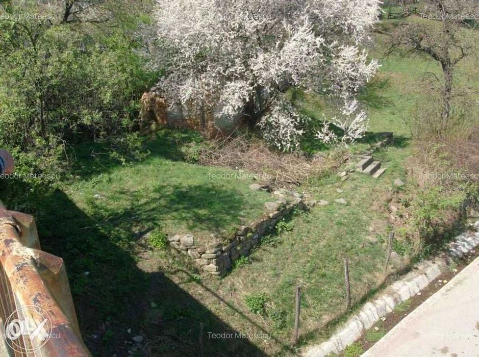 Vand Teren Intravilan Maneciu-Ungureni, Jud. Prahova