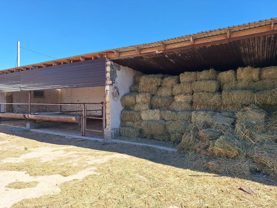 Фазенда (откорм) сатылады