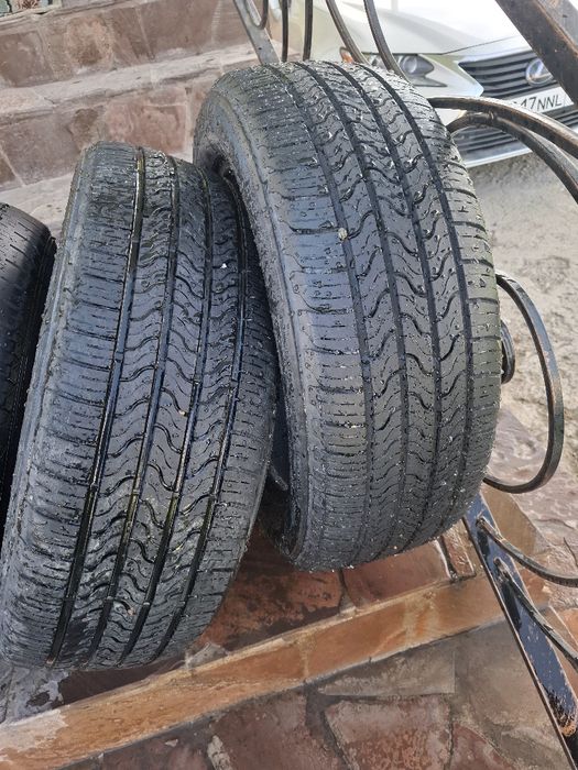 Balon 17lik jagdaiy jaksy