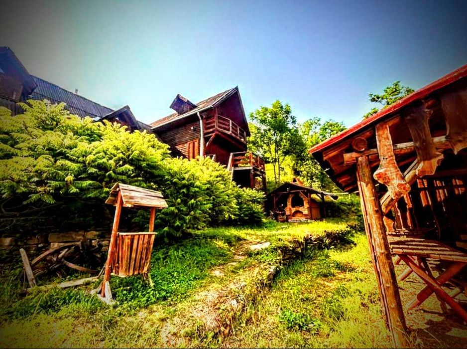 Casa de Vacanta cu 7 Camere