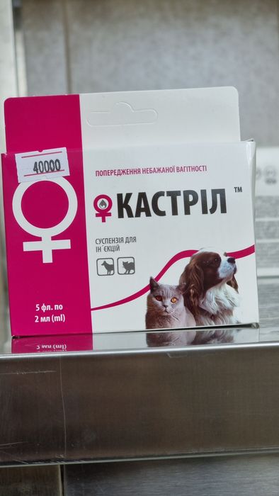 Kastril it va mushuklar uchun