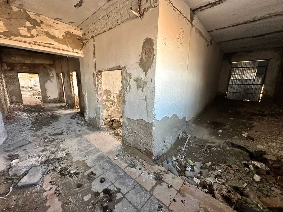 В продаже База новоявленка Алаш 1