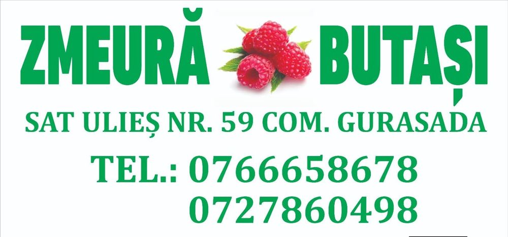 Zmeură proaspătă