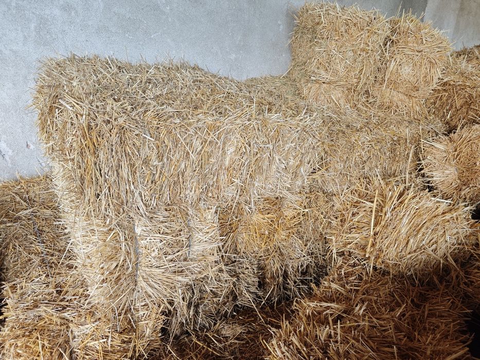 Бали пшенична слама