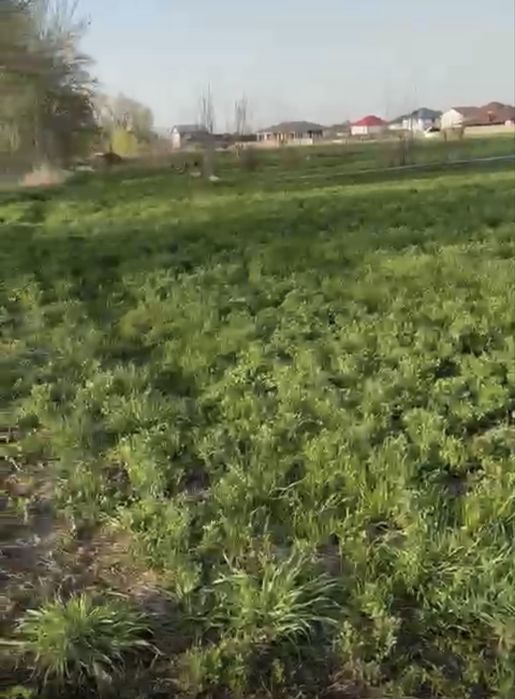 Продам участок 6 соток