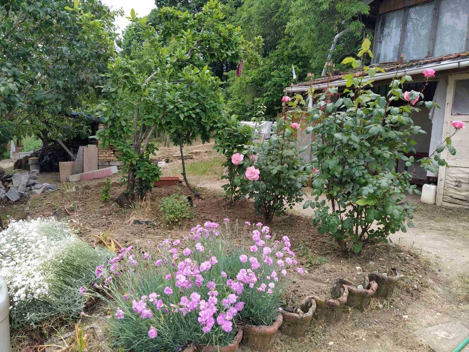 Продава се Парцел в Варна, м-т Боровец - юг - 1200 кв.м за 50 €/кв.м - Снимка #1