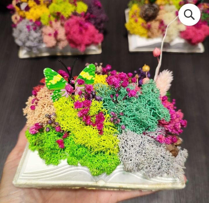 Различни видове кашпи със скандинавски мъх