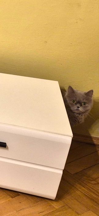 Comoda TV mobilier dulap raft polita de televizor CD DVD Home cinema K