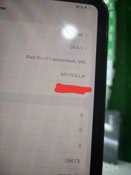 Ipad pro m4 256gb