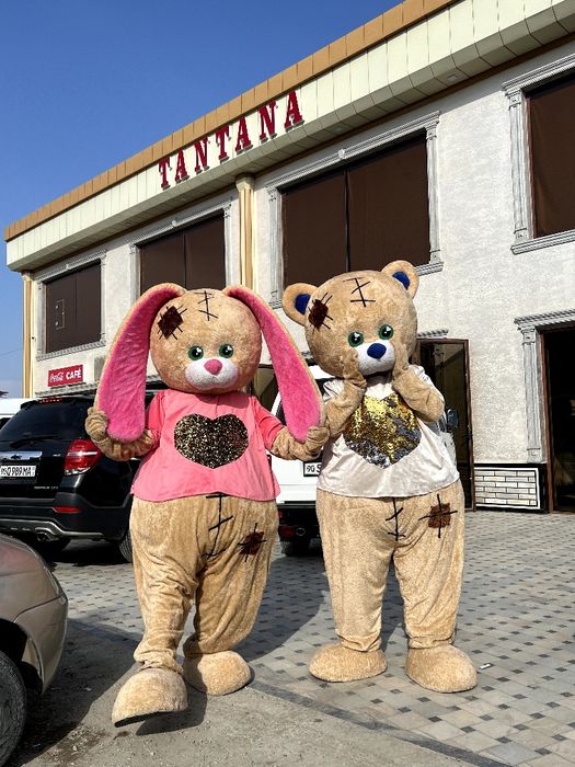 Tayyor Biznes Teddy Ayiqlari
