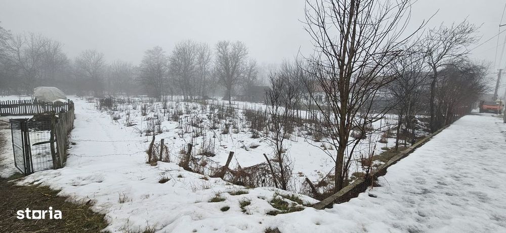 Vând teren intravilan Horezu – 2000 mp, DN65C,