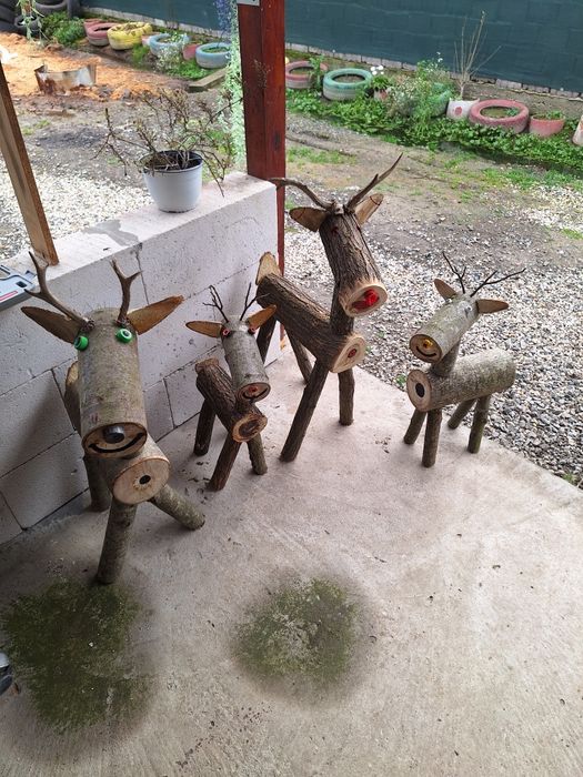 Casa si gradina superbe