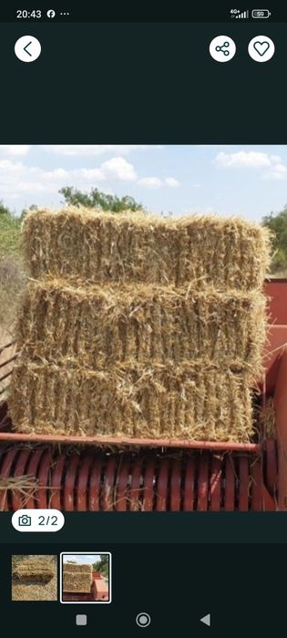 Baloți de paie  de grîu