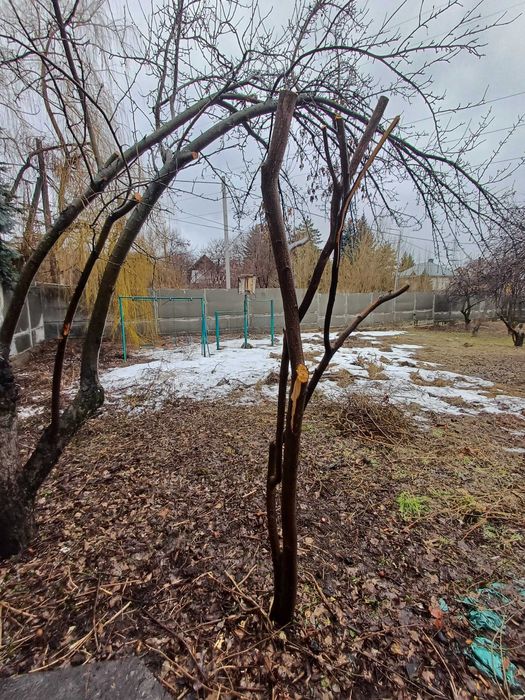 Продажа дома в мкр.Нурлы тау