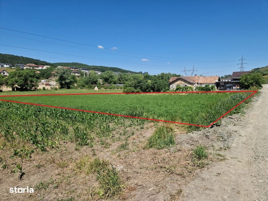 Teren intravilan 2000 mp – Popesti (Baciu) Ideal pentru casa, gradin