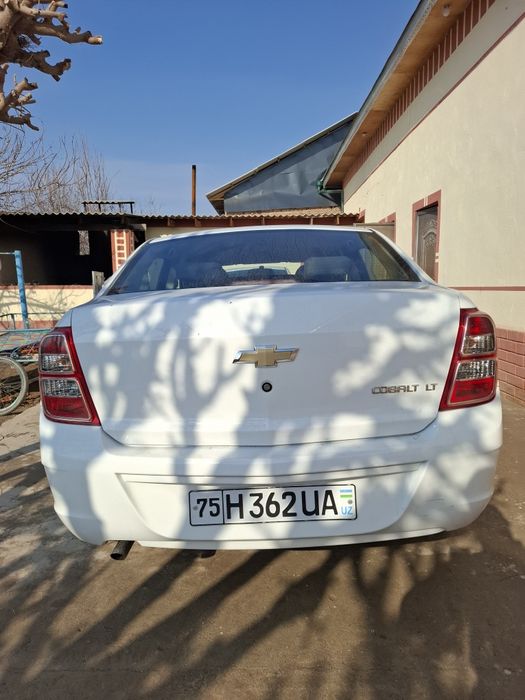 Coblit sotiladi zaril