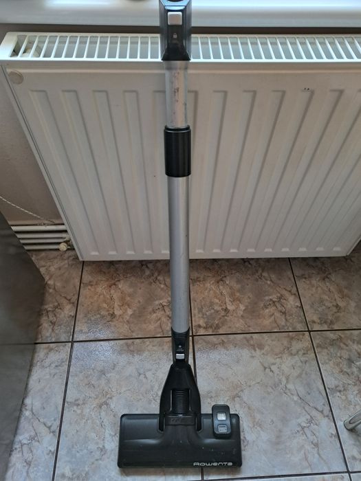 Perie și coada telescopica Rowenta