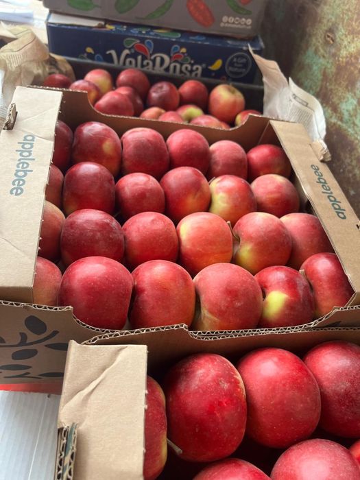 Яблоки с Тургена