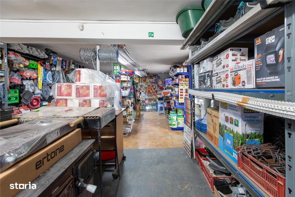 Casa P+M, teren 1500 mp + Afacere de Vanzare, com. Blagesti