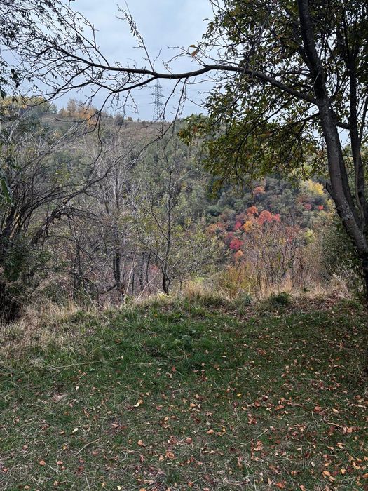 Продажа земельного участка