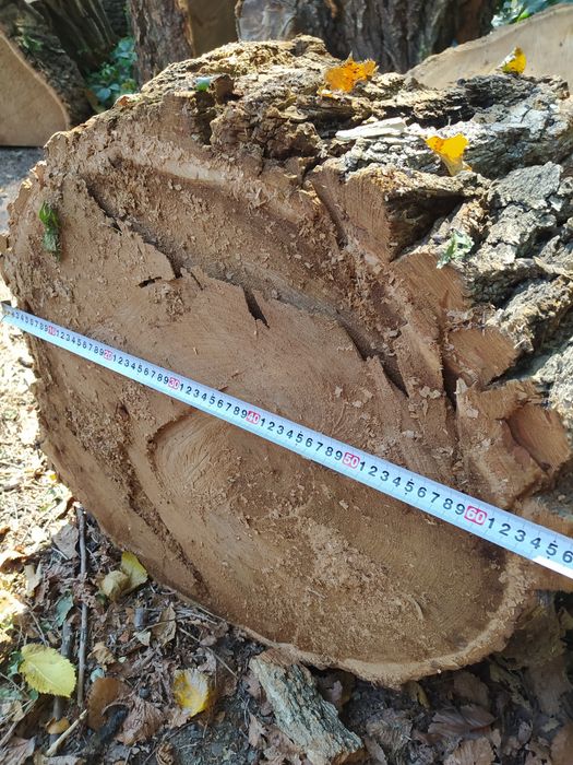 Продам пиломатериал карагача