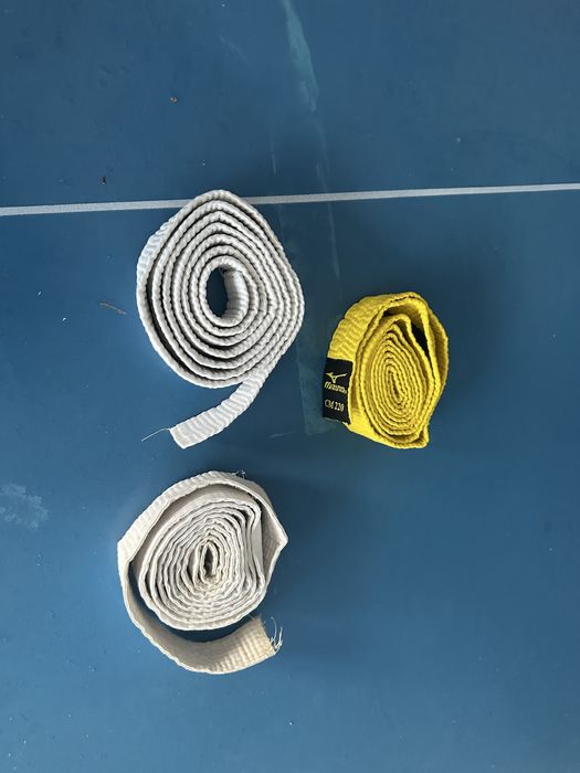 Экипировка для taekwando кимоно, защитка (щетки), пояса, перчатки