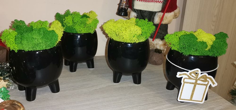 Кашпи със Скандинавски мъх