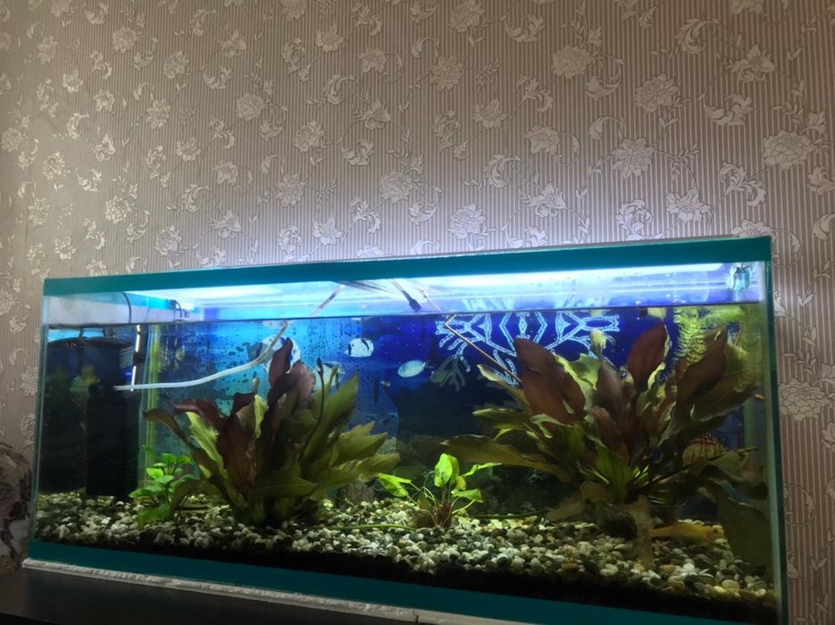 Продам аквариум,..
