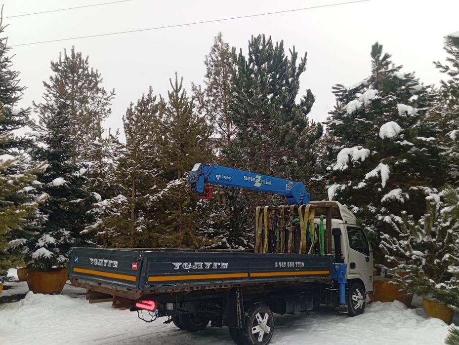 Услуги манипулятора маленький