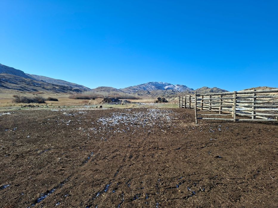 Продам Крестьянское хозяйства