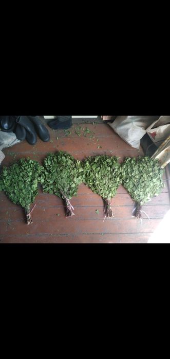 Веники банные берёзовые