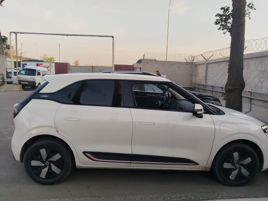 Dongfeng Nammi 01