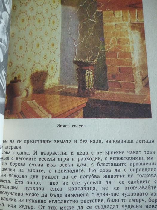 Дъга от цветя - Евгения Черней, Леонила Ширева