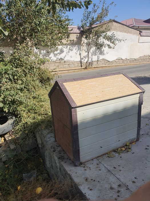 Кучук уйчаси сотилади.