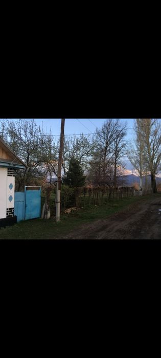 Продаётся дом, яблоневый сад, фазенда!!