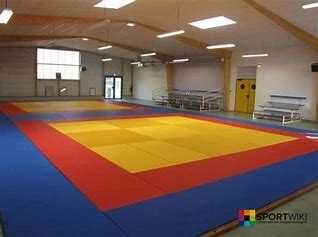 Татами для дзюдо