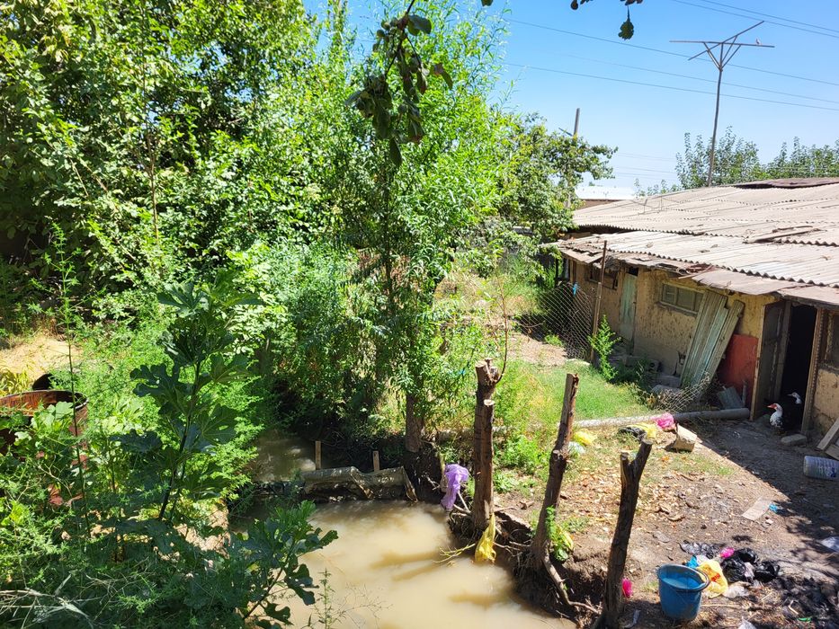Дала Ховли Назарбекда