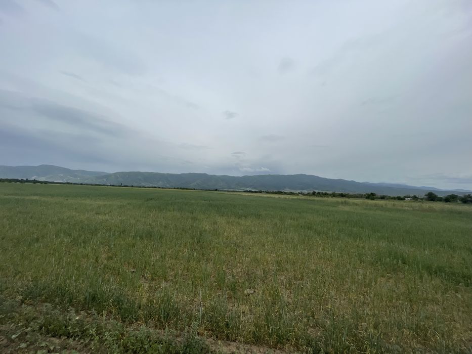 Участок поле 6.4 гектара