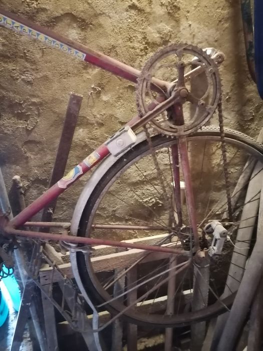 Велосипеди бегачи. Автентични