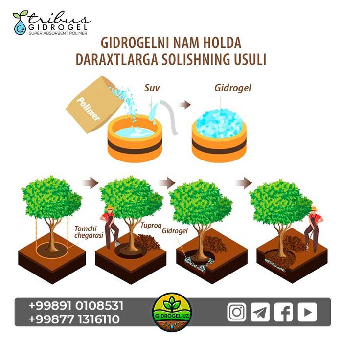 Гидрогель ўсимликлар учун