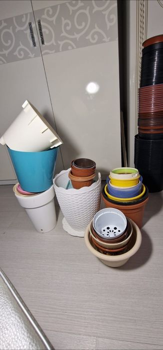 Продам комнатные цветы и горшки