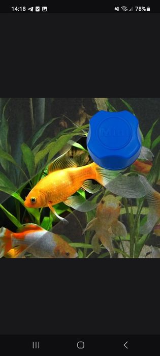 Ошейник для собаки светящийся