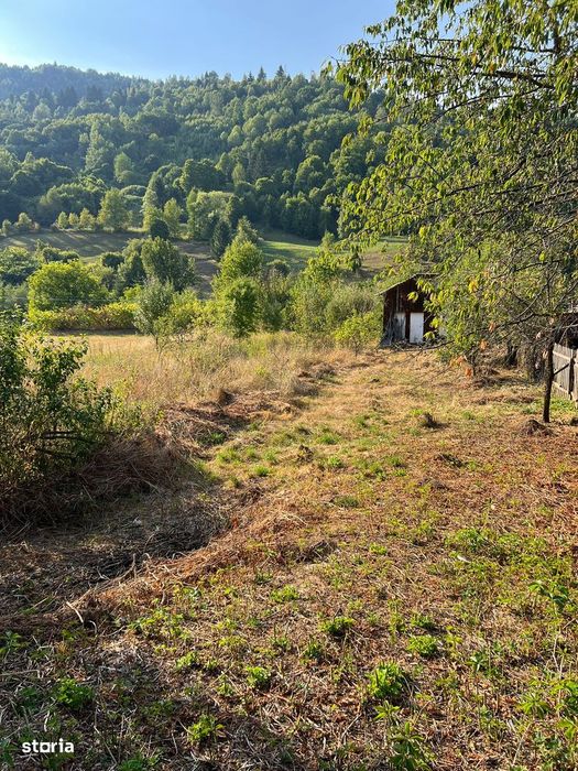 Teren de Vanzare Ceahlau 1522mp Intravilan la 6km de Durau & Lac Bicaz